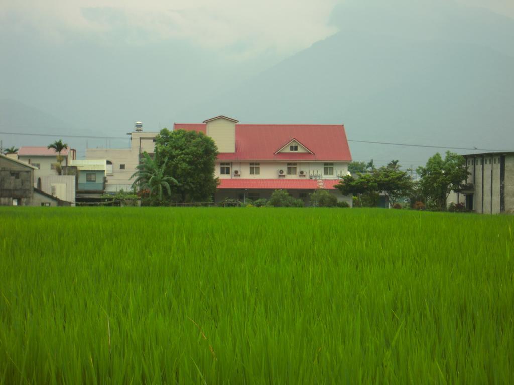 Golden Flower Homestay Yuli Bagian luar foto