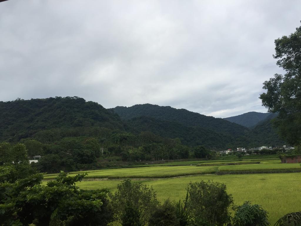 Golden Flower Homestay Yuli Bagian luar foto